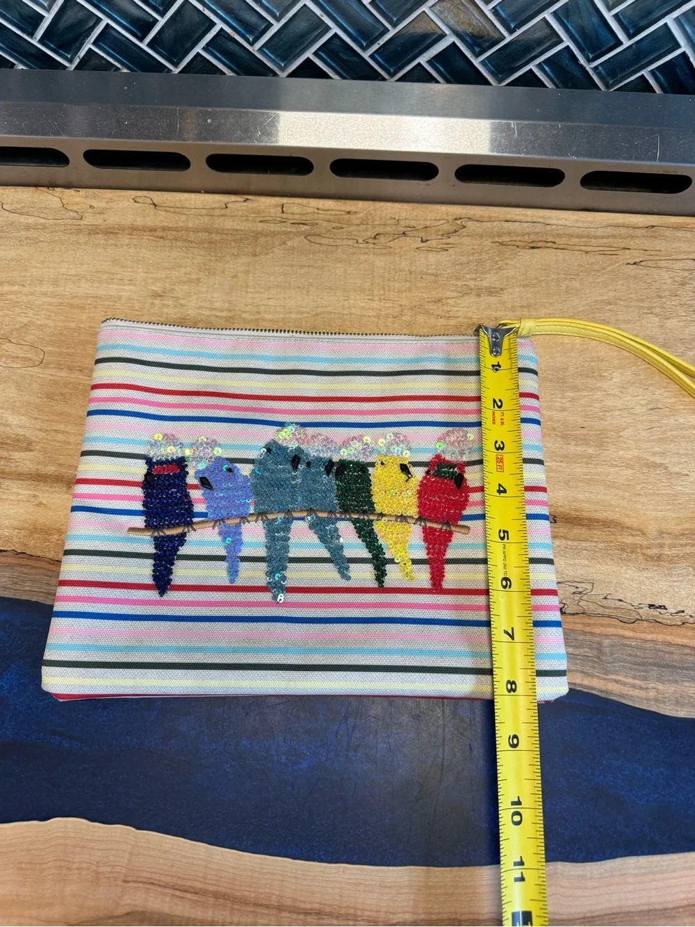 Sequin Parrot Stripe Zip Pouch - Multicolor